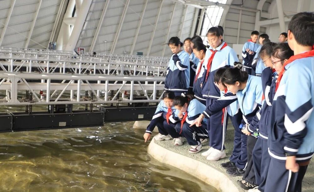 aa65643ee1924641a37b23ab7155cad9.jpg aa65643ee1924641a37b23ab7155cad9.jpg